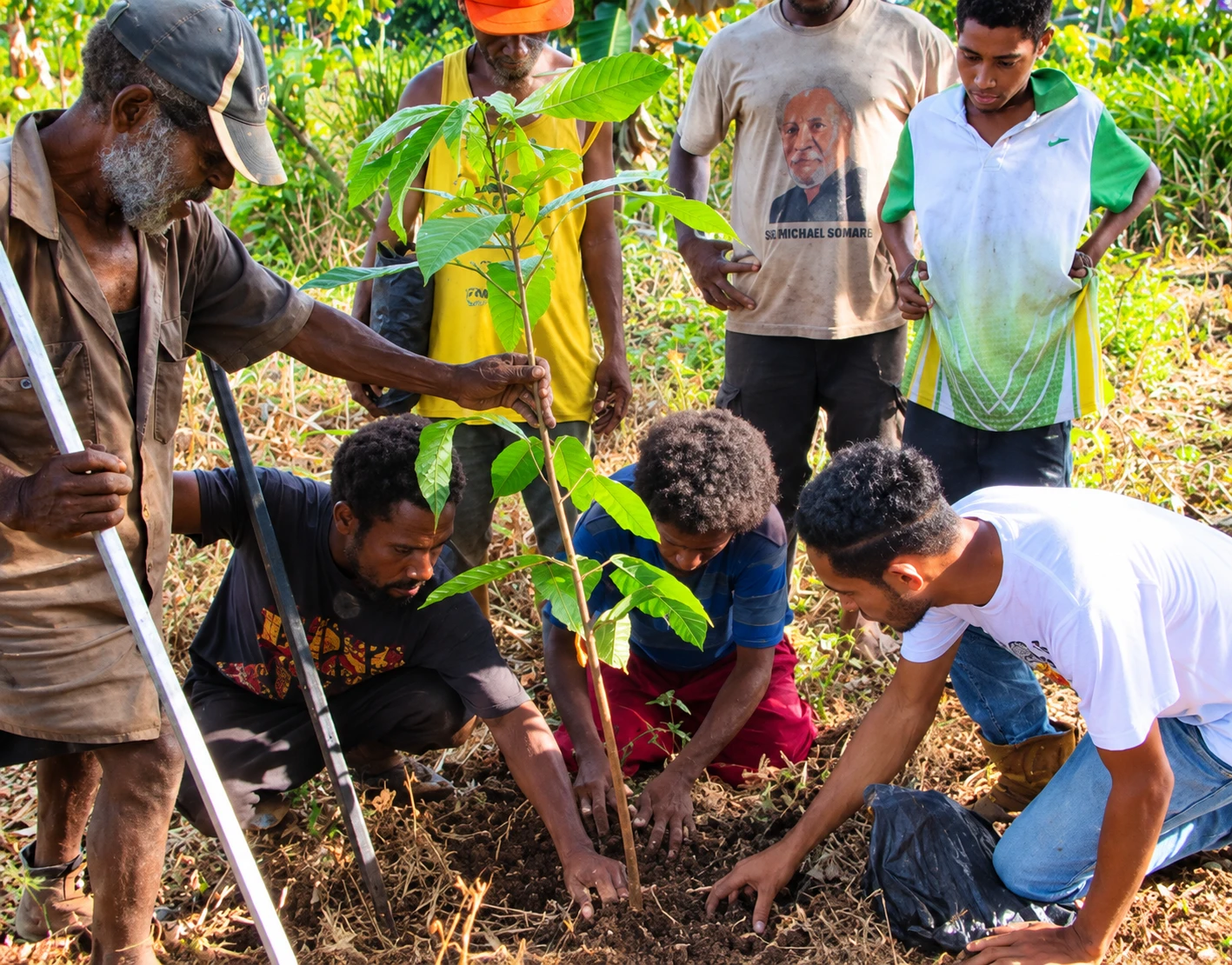 Farmers of several generations planting a young tree together